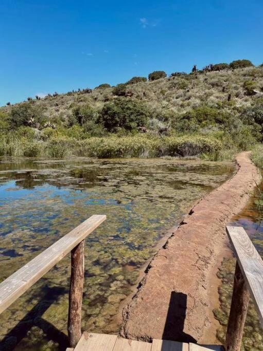 Owl Cottage - Living The Breede Malgas Extérieur photo